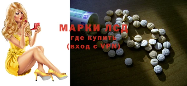 стафф Арсеньев