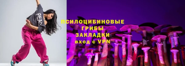 стафф Арсеньев