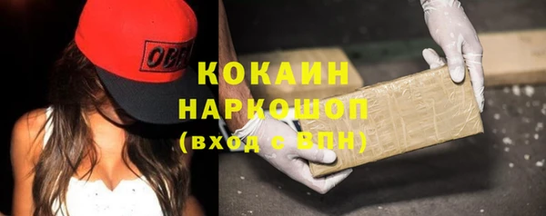 стафф Арсеньев