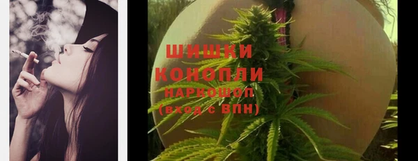 СК Аркадак