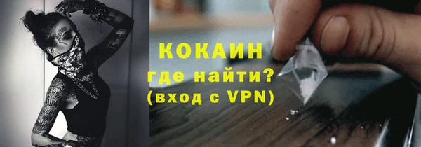 стафф Арсеньев