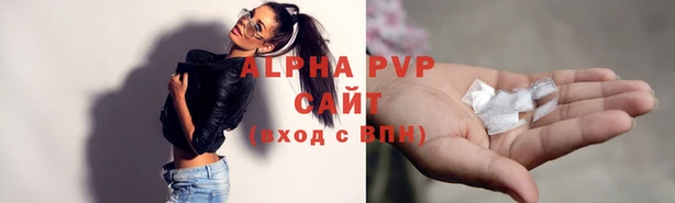 стафф Арсеньев