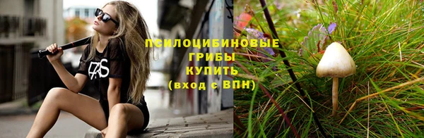 стафф Арсеньев